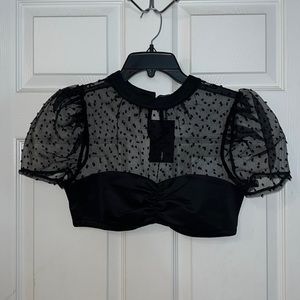 Fashion Nova cropped top